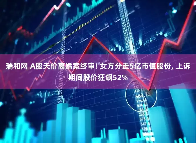 瑞和网 A股天价离婚案终审! 女方分走5亿市值股份, 上诉期间股价狂飙52%
